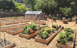ClifFamilyWinery-garden|Mike's In-Good Company Adventure