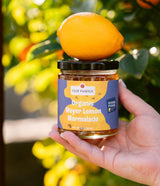 Meyer Lemon and Olive Oil Cake with Pine Nuts