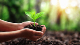 |Earth Day At Clif Family
