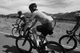 Cycling with the Napa Valley Seasons
