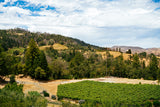 Hills and vineyard|White Wine Happy Hour