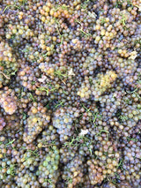 The 2016 Harvest Kickoff