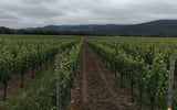 Clif Family Winery in Mendocino County - Clif Family Winery