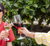 Exciting Reveal: Discover the 2025 Wine Club Releases and Events - Clif Family Winery