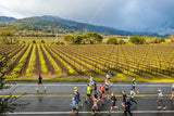 From Finish Line to Wine: Your Napa Valley Marathon Weekend Guide - Clif Family Winery