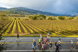 From Finish Line to Wine: Your Napa Valley Marathon Weekend Guide - Clif Family Winery