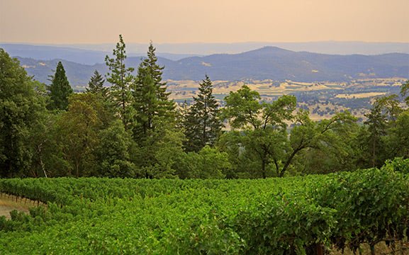 Organic Farming - A Personal Perspective – Clif Family Winery