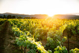 Savoring the Valley: Your Guide to a Sustainable Earth Month in Napa - Clif Family Winery