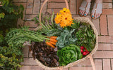 Springtime Harvest - Clif Family Winery
