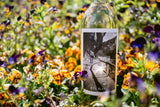 The Story Behind the Wine: Rte Blanc Sauvigon Blanc - Clif Family Winery