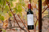 What Is the 75-85-95 Rule for Wine? (A Simple Guide to Reading Wine Labels) - Clif Family Winery