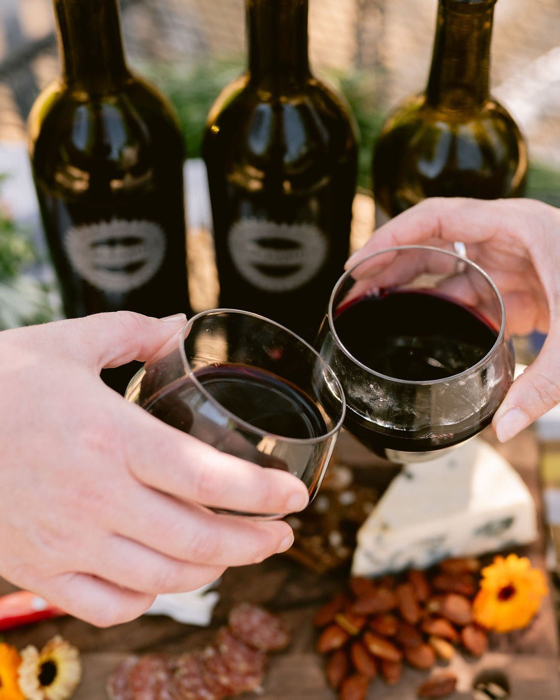 2016 Croquet Cabernet Sauvignon - Clif Family Winery