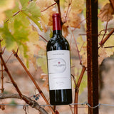 2021 Kit's Killer Cab - Clif Family Winery