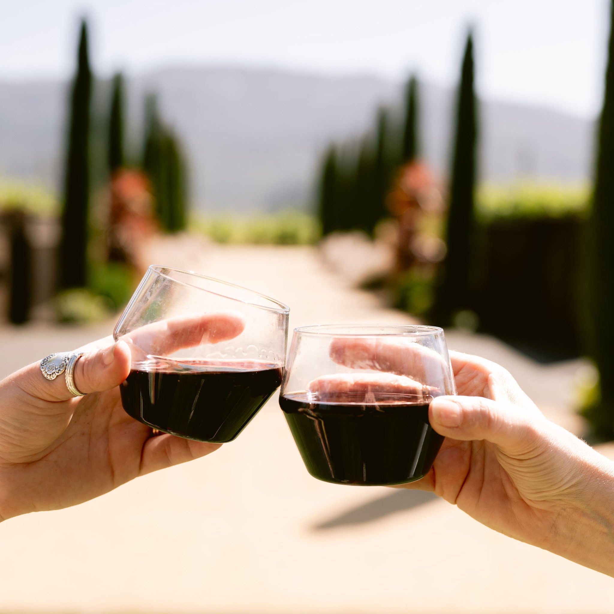 2021 Petite Sirah - Clif Family Winery