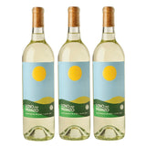 2024 Vino Del Pranzo Sauvignon Blanc