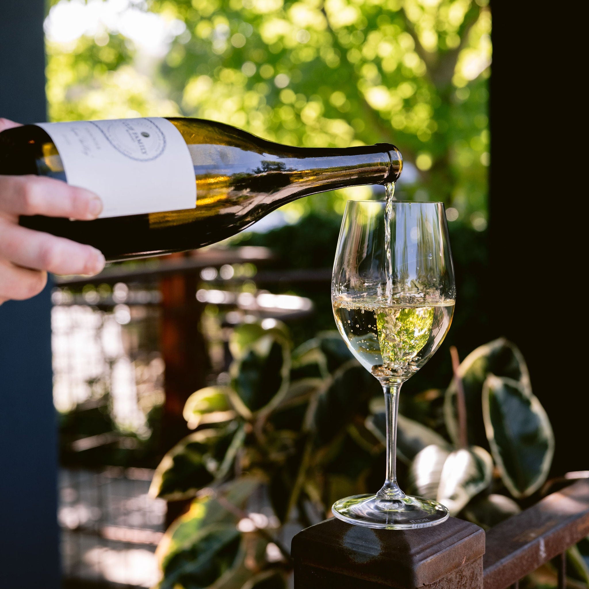 Someone pouring a glass of Clif Family Viognier outdoors