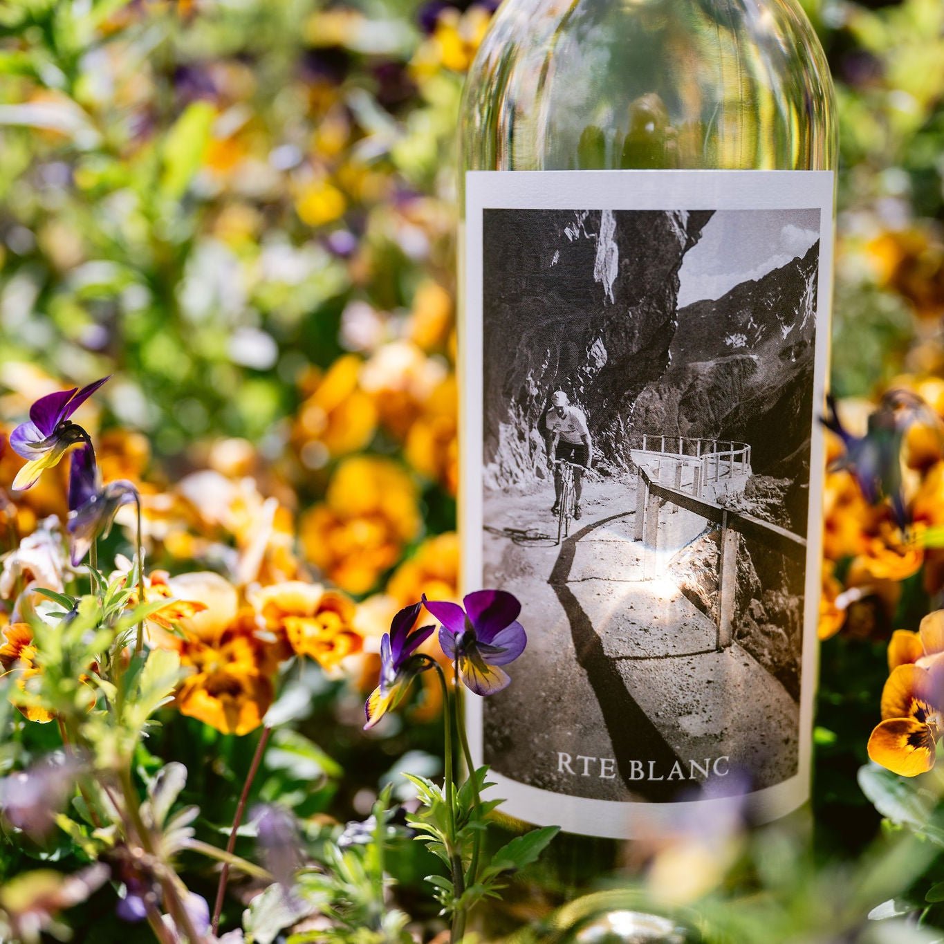 2024 Rte Blanc Sauvignon Blanc - Clif Family Winery