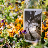 2024 Rte Blanc Sauvignon Blanc - Clif Family Winery