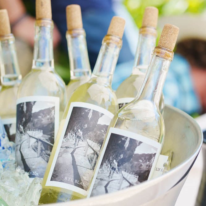 2024 Rte Blanc Sauvignon Blanc - Clif Family Winery