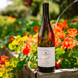 2024 Viognier - Clif Family Winery