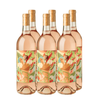 2025 Clif Family x Reyna Noriega Rosé of Cabernet Franc 6 - Pack - Clif Family Winery
