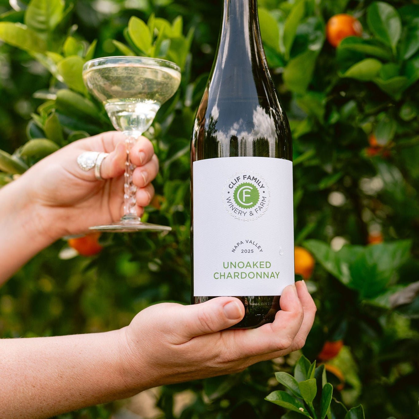 2025 Unoaked Chardonnay - Clif Family Winery