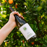 A hand holds a bottle of Unoaked Chardonnay wine against a background of an orange tree with green leaves and ripe oranges.