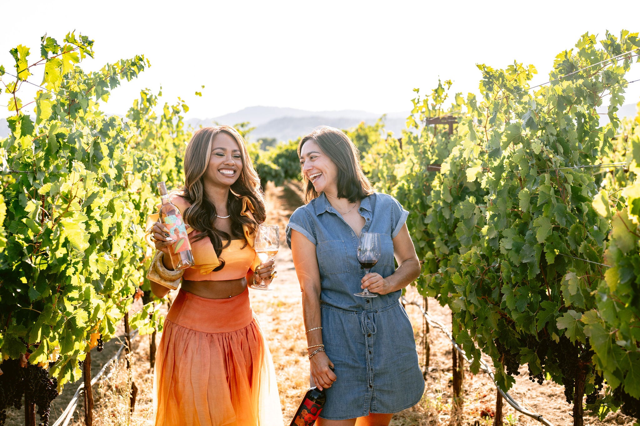2024 Reyna Rosé of Cabernet Franc