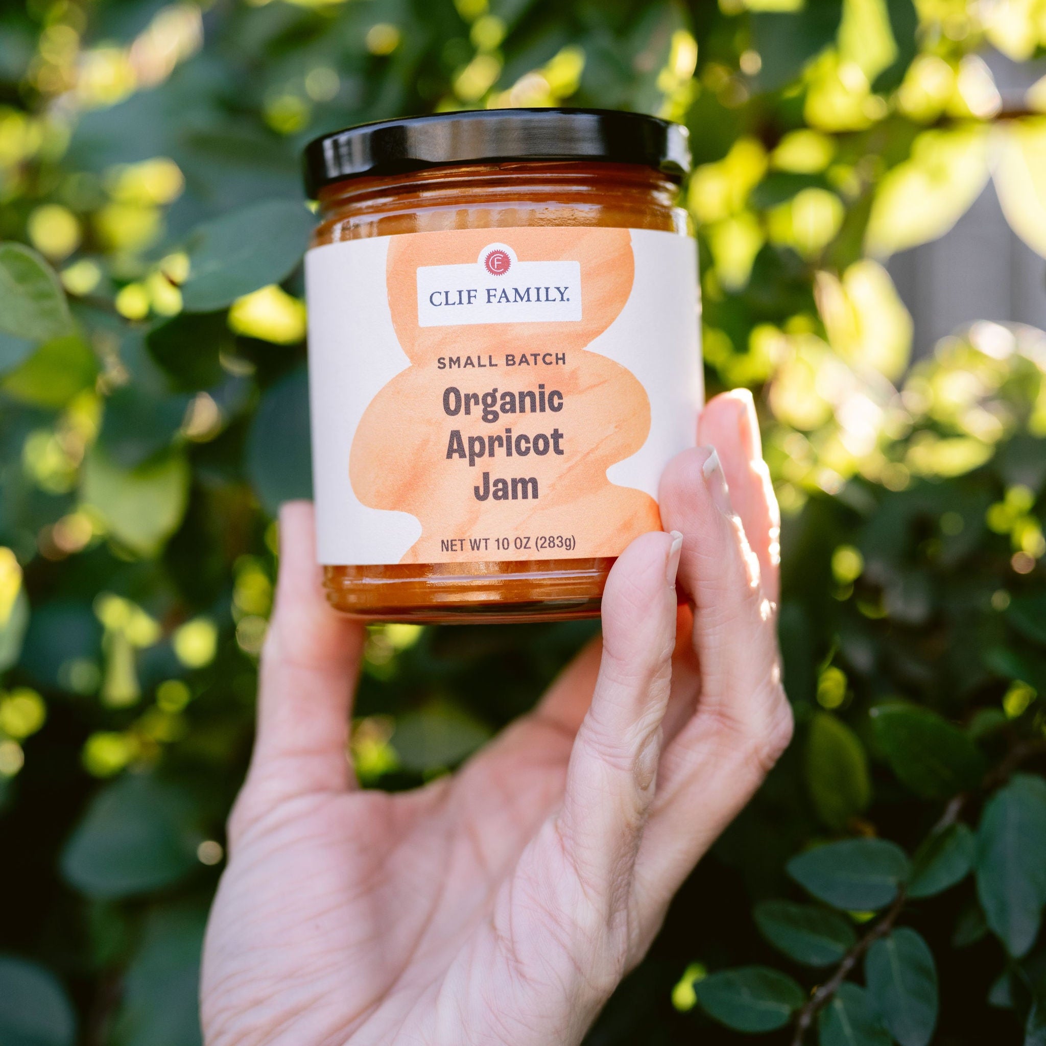 Organic Apricot Jam