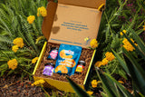 Mangia Box with Clif Family food products