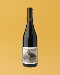 2022 Bici Red Blend