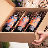 Clif Family x Reyna Noriega Red Wine Vertical - Clif Family Winery