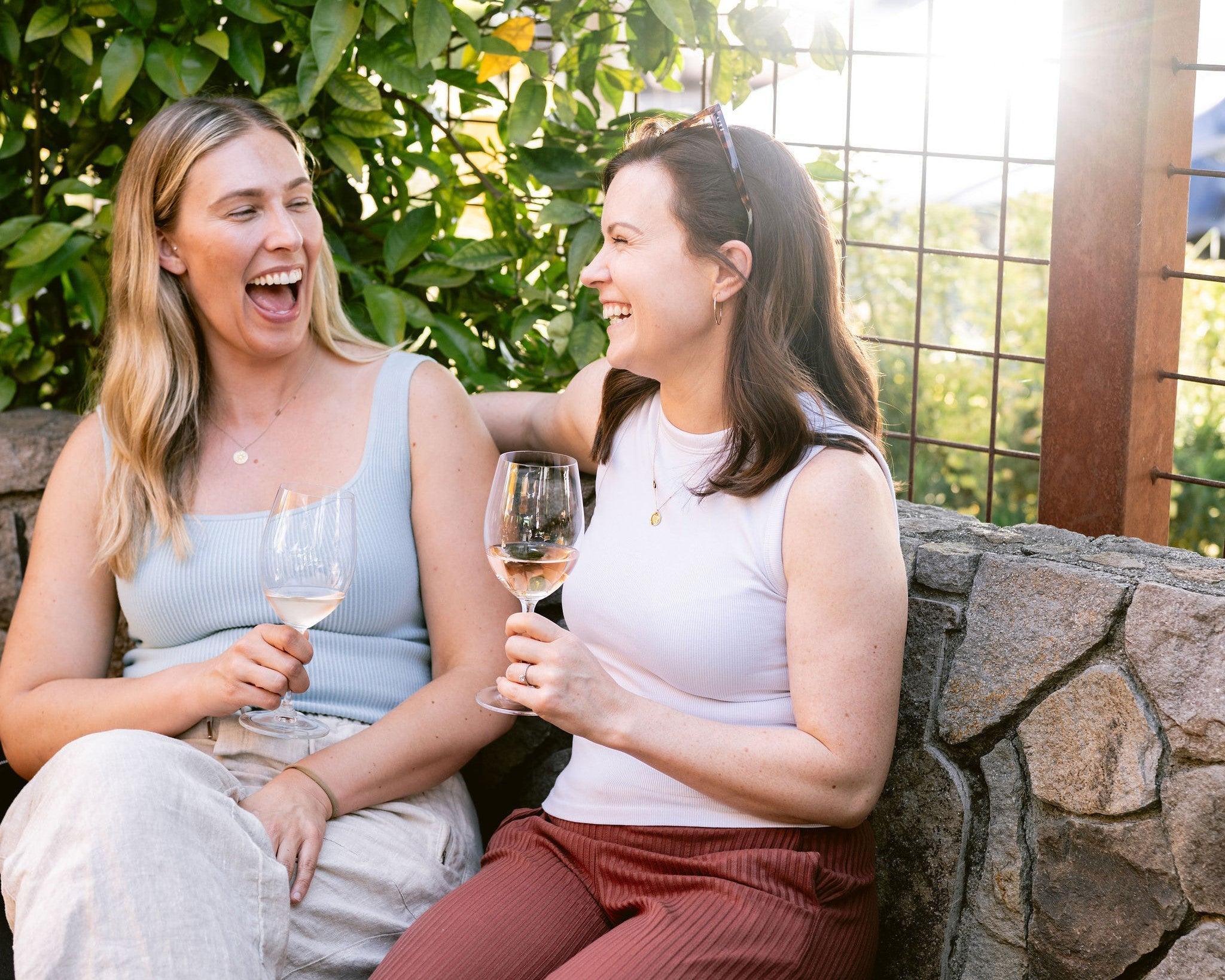 Community Club | 6 bottle - Clif Family Winery