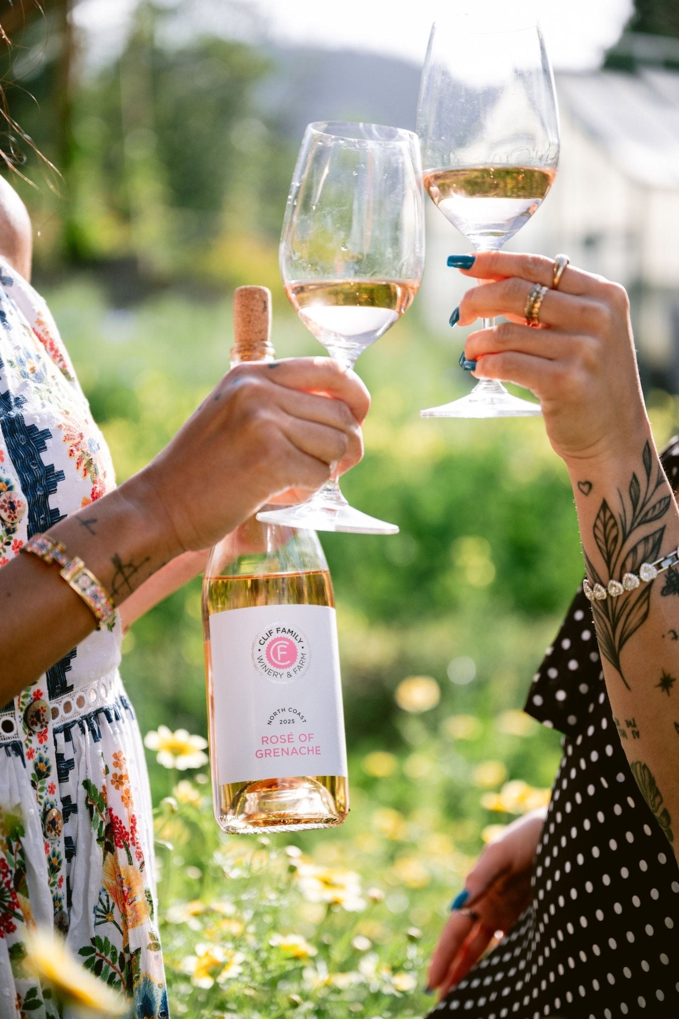 Member Special - 2025 Rosé of Grenache 6 - Pack - Clif Family Winery