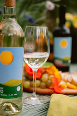 Member Special - Vino Del Pranzo Mixed 6-Pack - Clif Family Winery