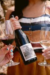 Wander Sale Bundle - Clif Family Winery